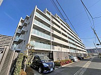 �饤����ȷ��ë�ޡ����쥸�ǥ�