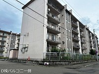 ����ϥ���D��