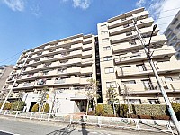 �٥륷��ȥ���������