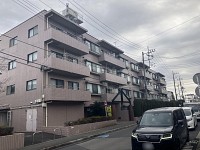 �ɥ꡼������ߺ�Į