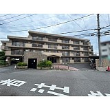 �᡼���󶹻�����