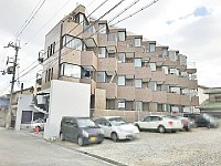 ���塼�������VII