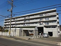 ī�ҥ��꡼��ޥ󥷥��