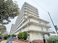 �˥塼�饤�եޥ󥷥���涶