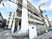 ����Į���𣱹���