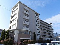 �����ץ�å���ް�Ʋ�����������󡦥ե���