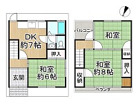 ����Բ�������