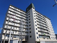 ���С����꡼��ֺ�