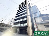 �ե����ꥢ�饤����ŷĮ������