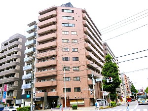 �����ѥ쥹�ơ���������
