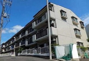 ����ɥߥ˥���ᥤ���һ�