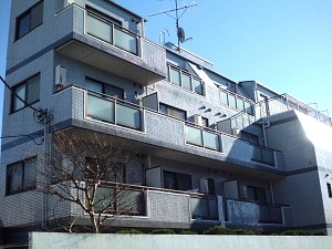 �拾�����������