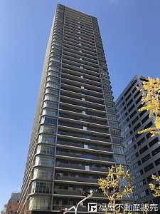 �ץ�ߥ��ȥ����忷Į������륳����