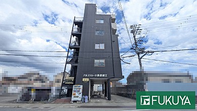 ���륳�饫��������ٹ�