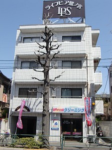 �饤�եԥ�����