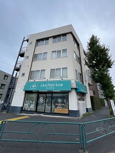 ��������Ķ迷���ģ�����