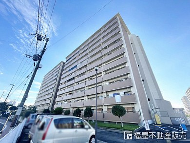 ���ָ���ǯ�⽻�����