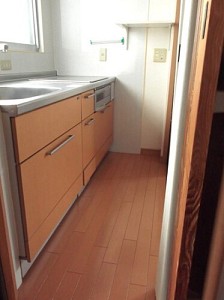�ͷ����� ˭��Ծ��⹬Į������ 250��