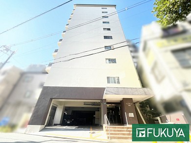 �ץ쥸�ǥ�Ⱥ�Τ