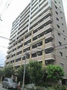 �����ƥॳ�������ġ�ŷ������С��ե����