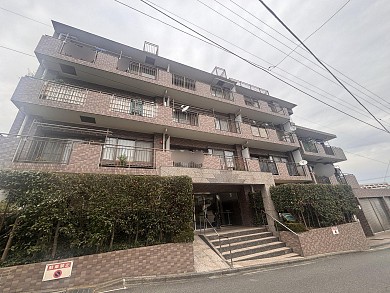 �����ѡ��ॹ��Ȭ����