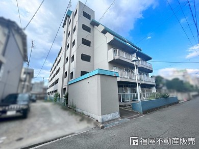 �ึ���꡼��ϥ���