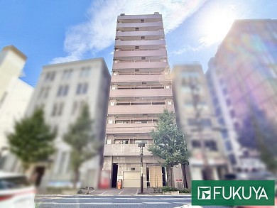 �����ƥॳ���ȵ��Բϸ�Į�ץ쥸����