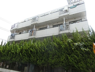����ѥ쥹����