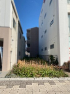���� �Ų������Ļ����������� 878��