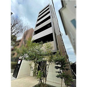 AXAS-ART�翹����