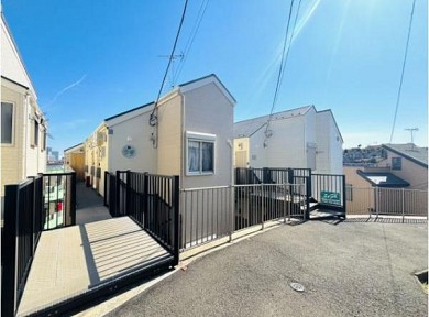 ���ڥ�ë�������䥢�ѡ���