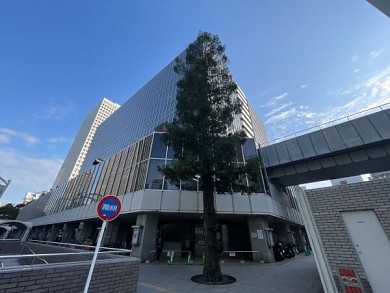 �������裲�ӥ�