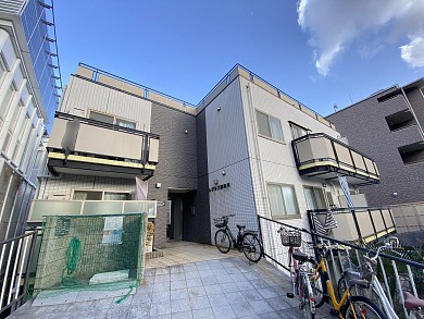 �쥰�륹������