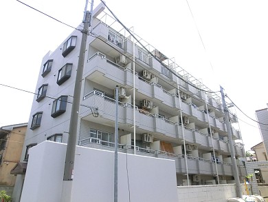 �ѥ�ɡ��뤪���㲰