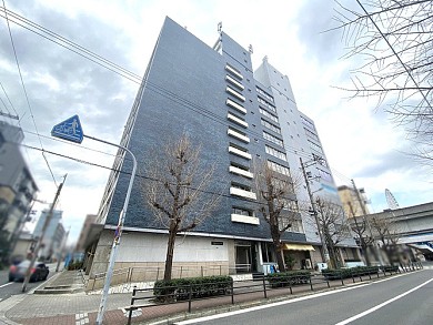 ŷ�ݻ��軰������