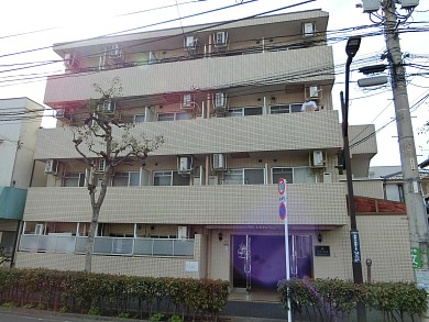 �ޥꥪ�󿷾���