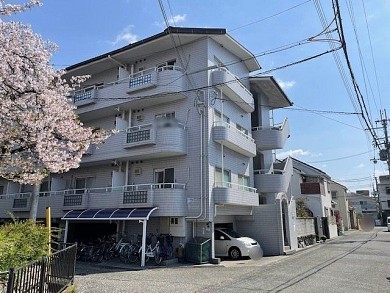 ���������룲��