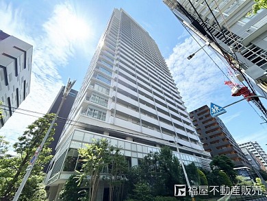 �ѡ����������