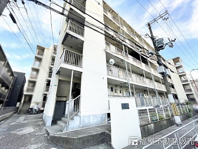 ����Į���𣱹���