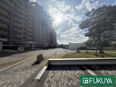 ��١��饬���ǥ����ʥ���ȥ�륦�����ȡ�
