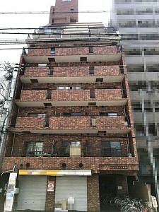 �˥塼�饤����Į