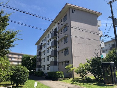 ��º����콻�𣱣�����