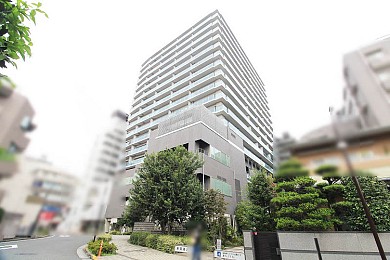 ����ȥ��쥸�ǥ�Ĵ��