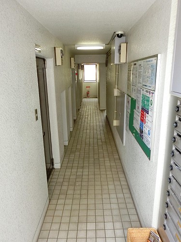 �������δ������֤��ɹ��Ǥ�