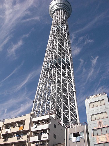 物件のすぐ裏にはスカイツリーがございます 物件のすぐ裏にはスカイツリーがございます