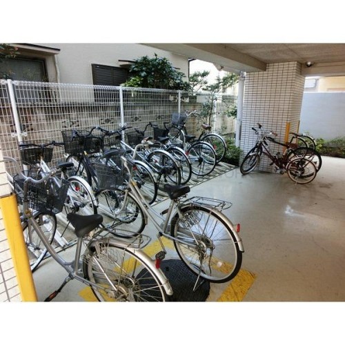 整頓された自転車置き場 整頓された自転車置き場