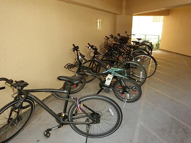 自転車置き場 自転車置き場