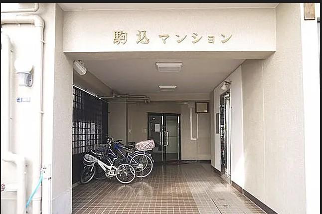 ���鴶�Τ���ʪ�泌��ȥ�󥹤Ǥ�