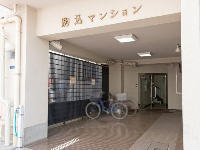 ���鴶�Τ���ʪ�泌��ȥ�󥹤Ǥ�