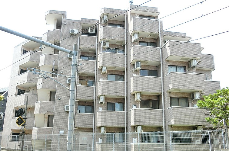 Ω�ɤ�¤��γ��ѤǤ�